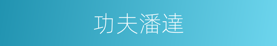 功夫潘達的同義詞