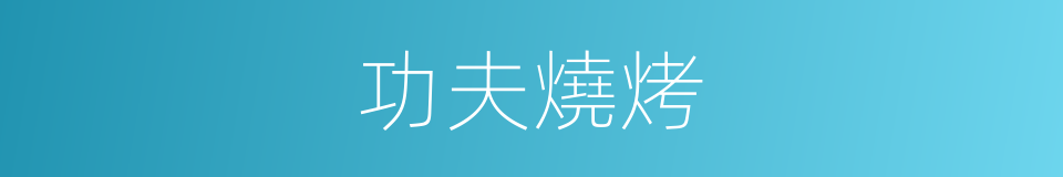 功夫燒烤的同義詞