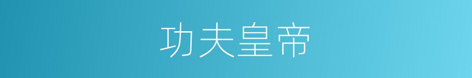 功夫皇帝的同义词