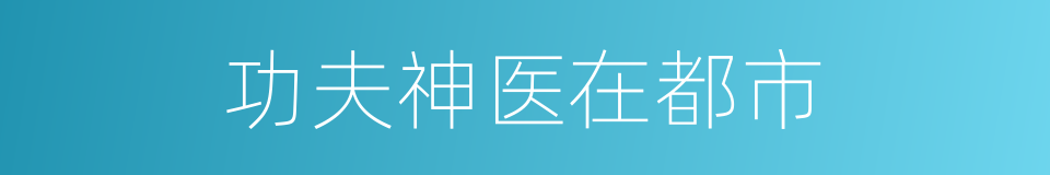 功夫神医在都市的同义词