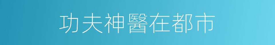 功夫神醫在都市的同義詞
