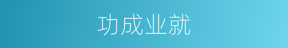 功成业就的意思