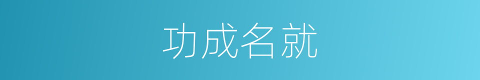 功成名就的意思