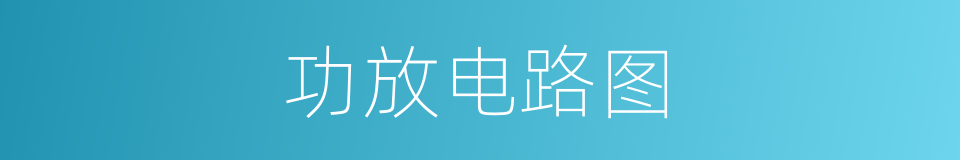 功放电路图的同义词