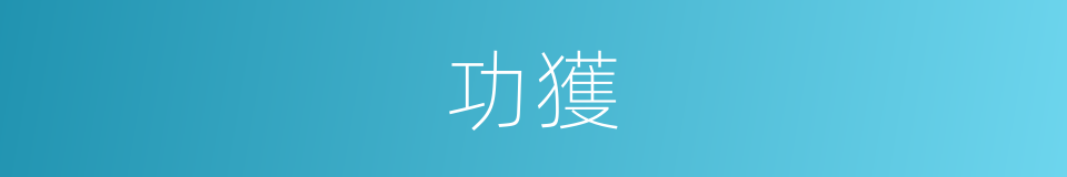 功獲的同義詞