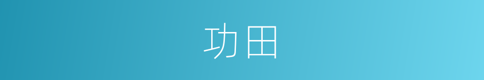 功田的同义词