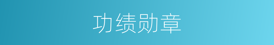功绩勋章的同义词