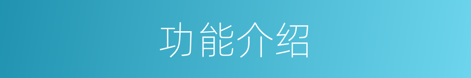 功能介绍的同义词