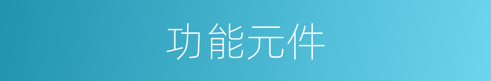 功能元件的同义词