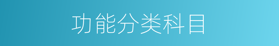功能分类科目的同义词