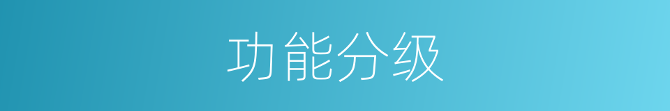 功能分级的同义词