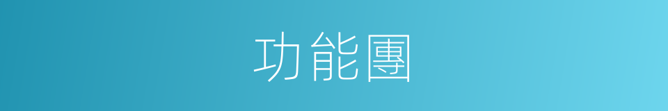 功能團的意思
