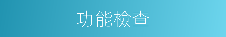 功能檢查的意思
