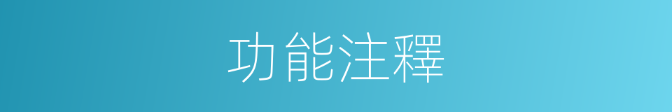 功能注釋的意思