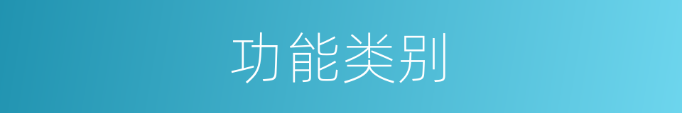功能类别的同义词