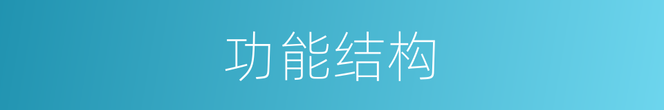 功能结构的同义词