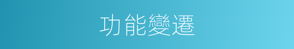 功能變遷的同義詞