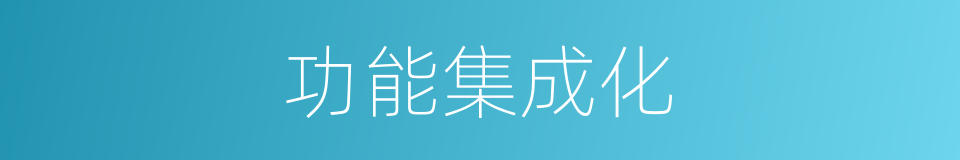 功能集成化的同义词
