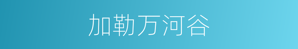 加勒万河谷的同义词