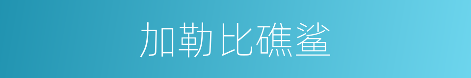 加勒比礁鲨的同义词