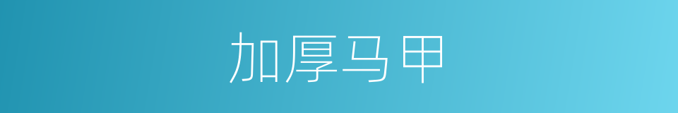 加厚马甲的同义词