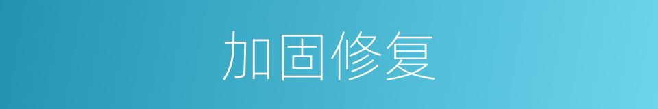 加固修复的同义词