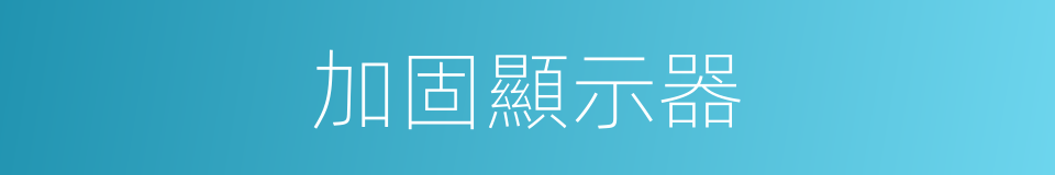 加固顯示器的同義詞