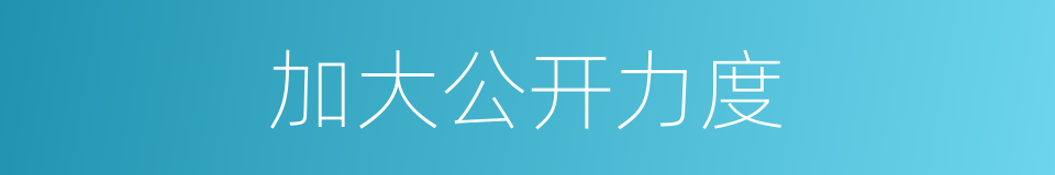 加大公开力度的同义词