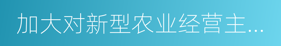 加大对新型农业经营主体的支持力度的同义词