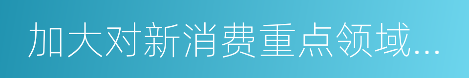 加大对新消费重点领域金融支持的同义词