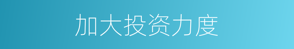 加大投资力度的同义词