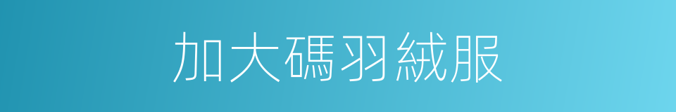 加大碼羽絨服的同義詞