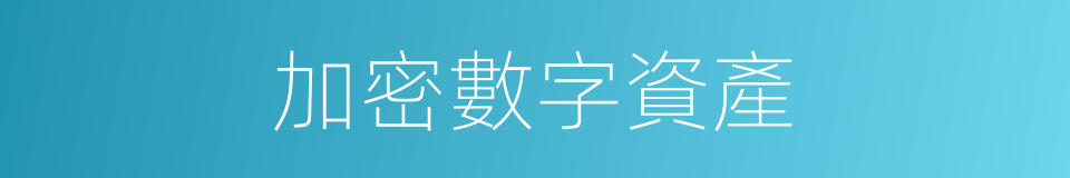 加密數字資產的同義詞