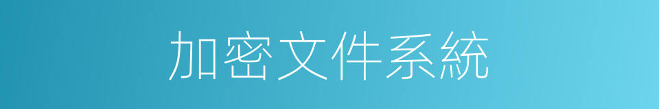 加密文件系統的同義詞