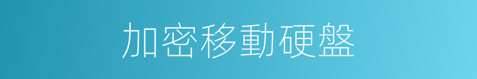 加密移動硬盤的同義詞