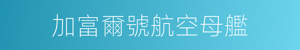 加富爾號航空母艦的同義詞