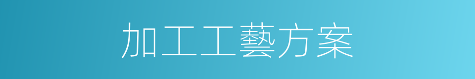 加工工藝方案的同義詞