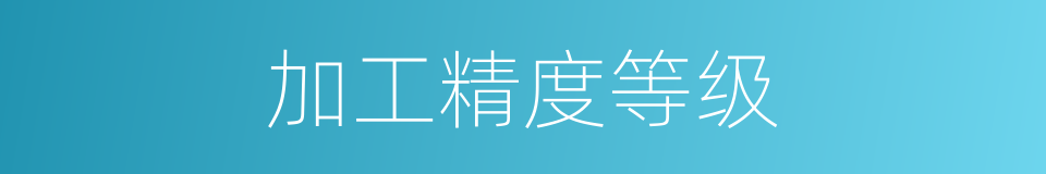 加工精度等级的同义词