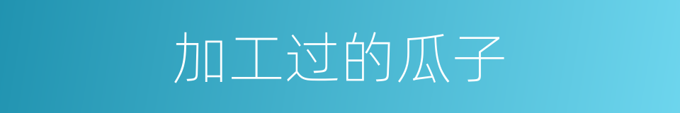 加工过的瓜子的同义词