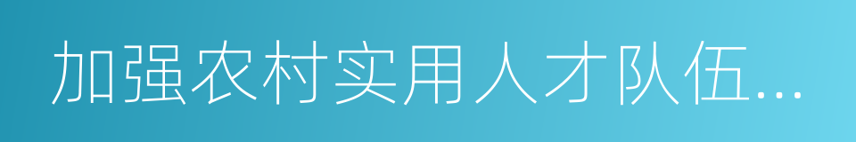 加强农村实用人才队伍建设的同义词