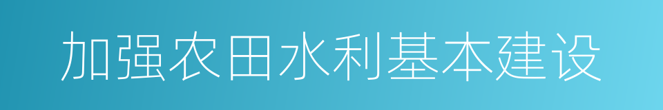 加强农田水利基本建设的同义词