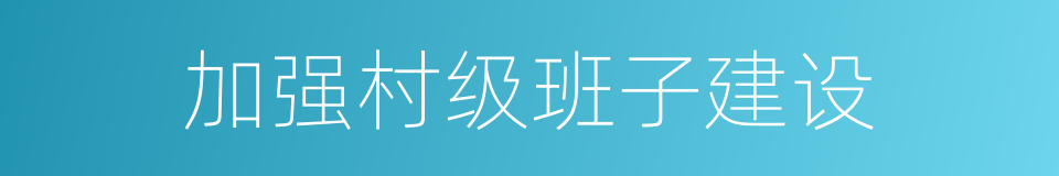 加强村级班子建设的同义词
