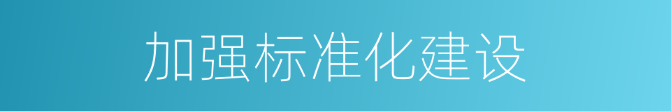 加强标准化建设的同义词