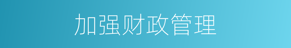 加强财政管理的同义词