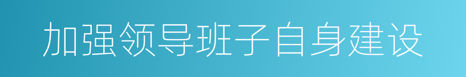 加强领导班子自身建设的同义词