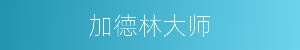 加德林大师的同义词