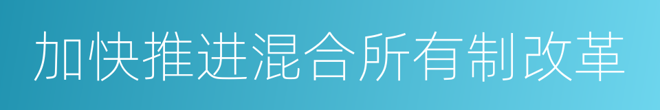 加快推进混合所有制改革的同义词