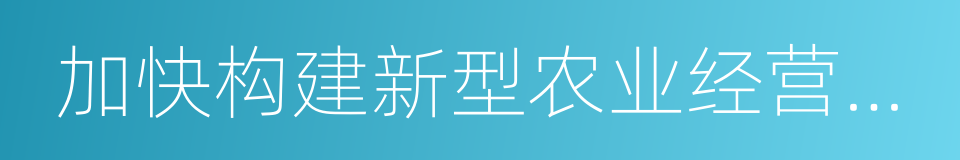 加快构建新型农业经营体系的同义词