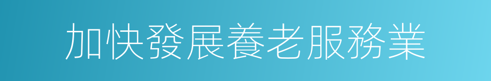 加快發展養老服務業的同義詞