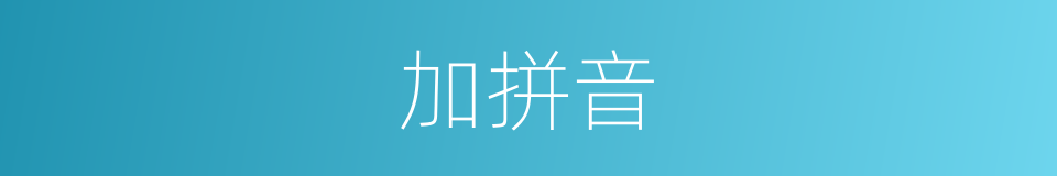 加拼音的意思